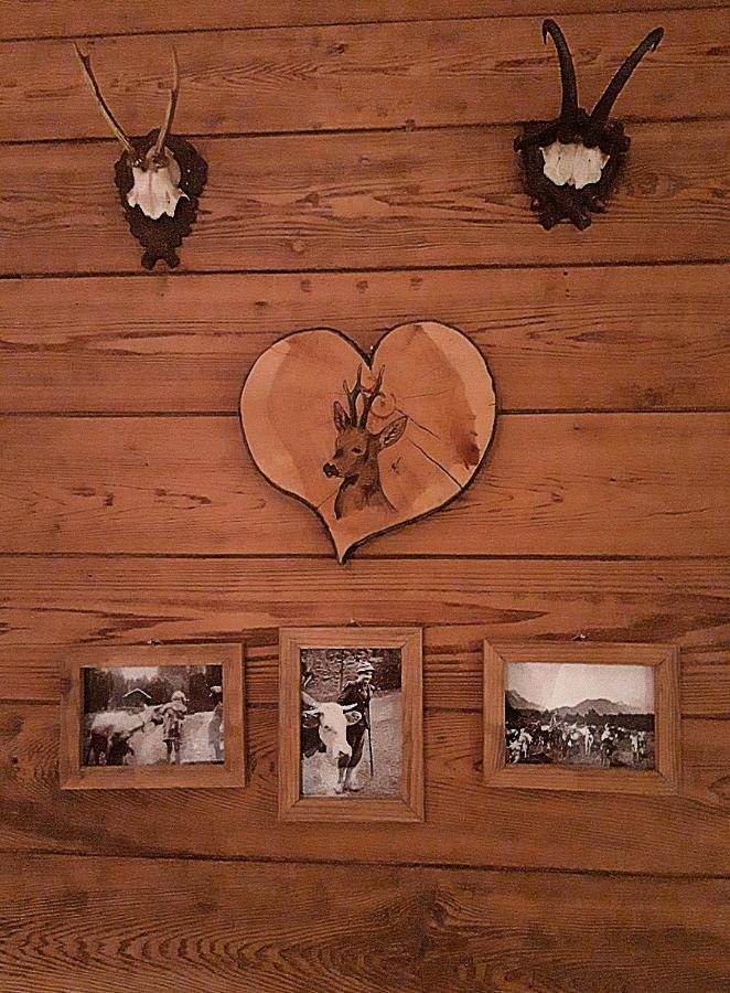 Berggasthof Karntner Alm Hotel Mittenwald Kültér fotó